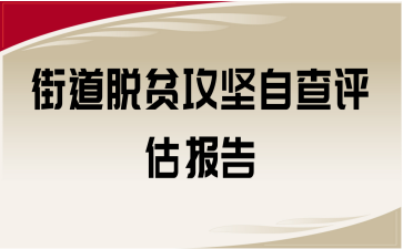 街道脫貧攻堅自查評估報告