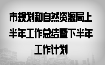 市規(guī)劃和自然資源局上半年工作總結(jié)暨下半年工作計(jì)劃