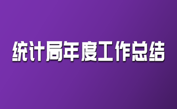 統(tǒng)計局年度工作總結