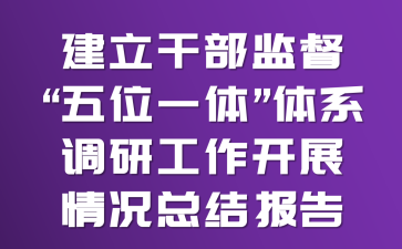 建立干部監(jiān)督“五位一體”體系調(diào)研工作開展情況總結(jié)報告