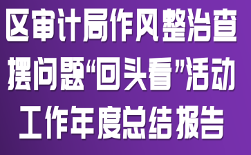 區(qū)審計局作風整治查擺問題“回頭看”活動工作年度總結報告